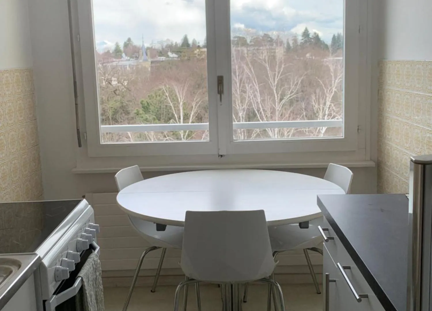 Beautiful 1-Bed Apartment Near Palexpo, Un Agencies & Diplomatic Missions Γενεύη 0*,